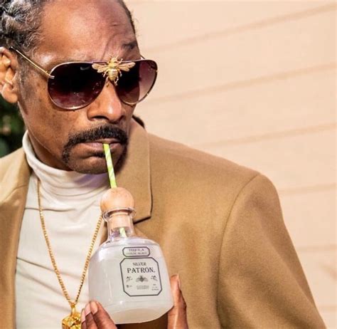 snoop dog sunglasses|snoop dogg bee sunglasses.